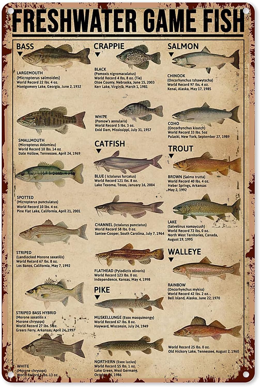 Y1,Fishing Art Posters Metal S - đánh giá và giá Home Improvement Game